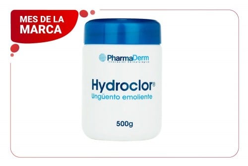 Hydroclor En Ungüento 500 G