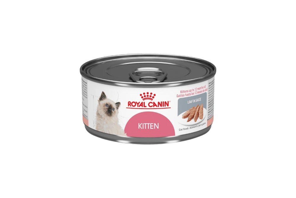 Alimento Húmedo Royal Canin Kitten Gatos 85 G