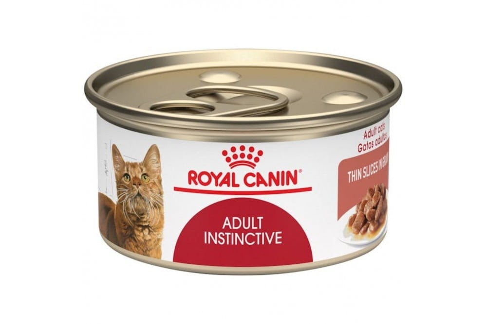 Alimento Humedo Royal Canin Appetite Gatos 85 G