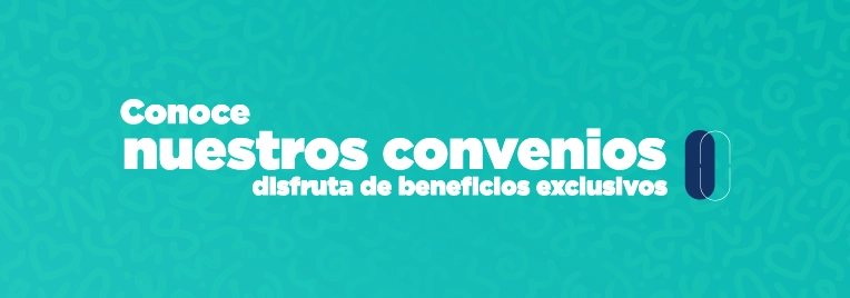 conoce convenios icono